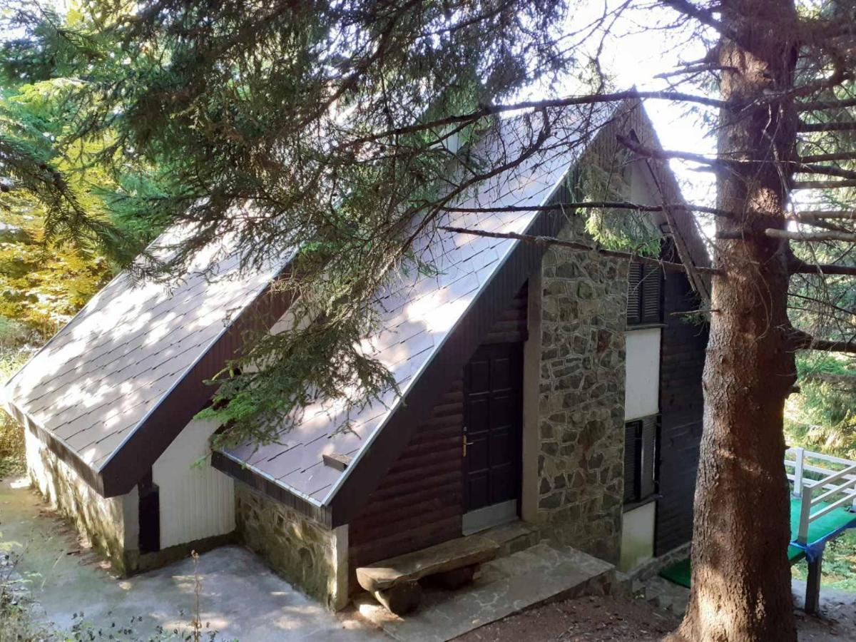 Tatil Evi Pavlovic *
