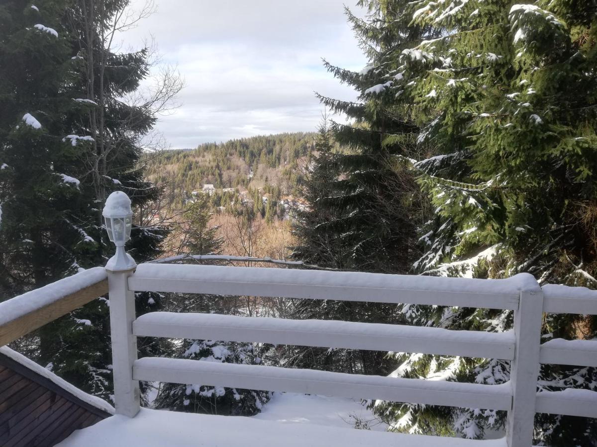 Pavlovic Kopaonik